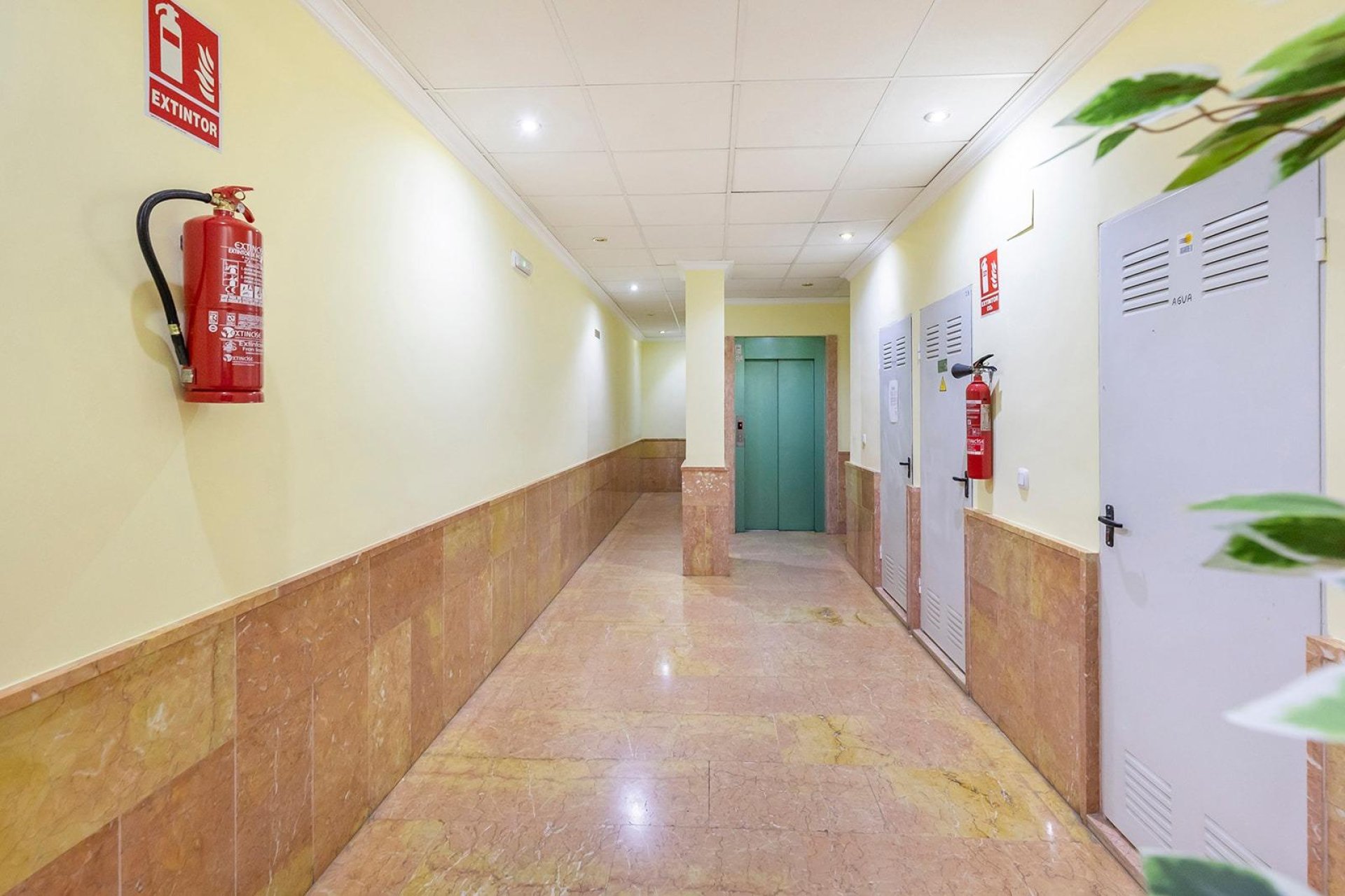 Rynek Wtórny - Apartament - Torrevieja - Playa del cura