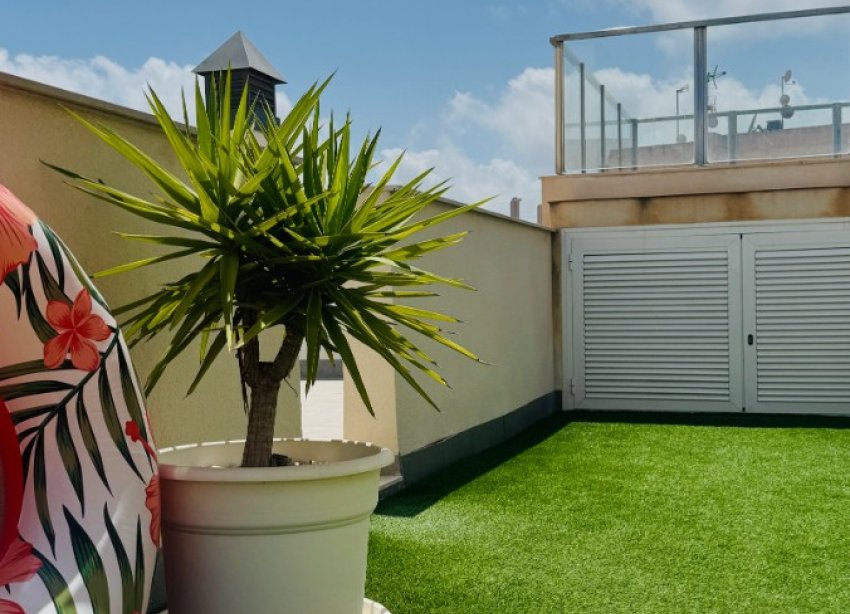 Rynek Wtórny - Apartament - Torrevieja - Playa del Cura