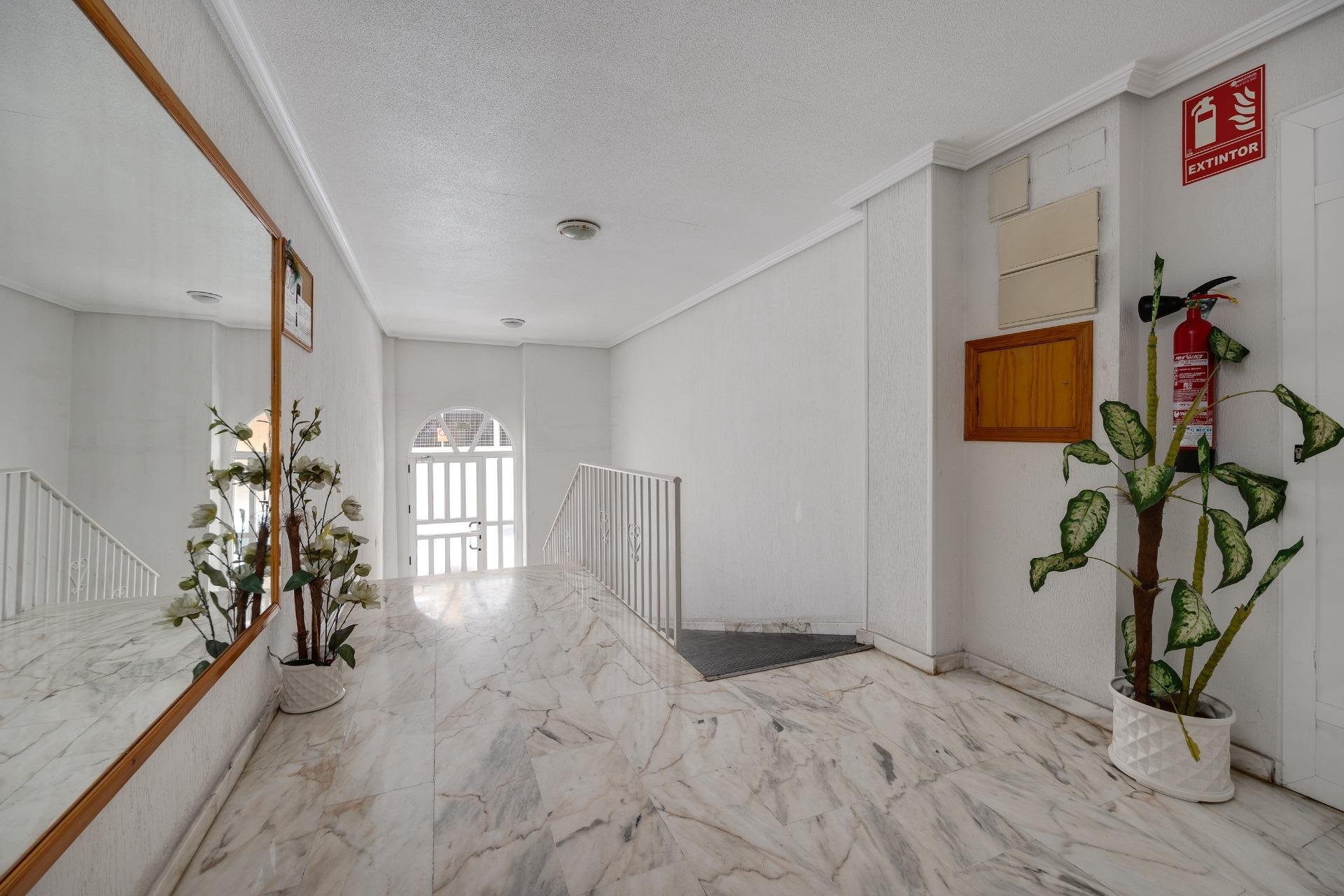 Rynek Wtórny - Apartament - Torrevieja - Playa del cura