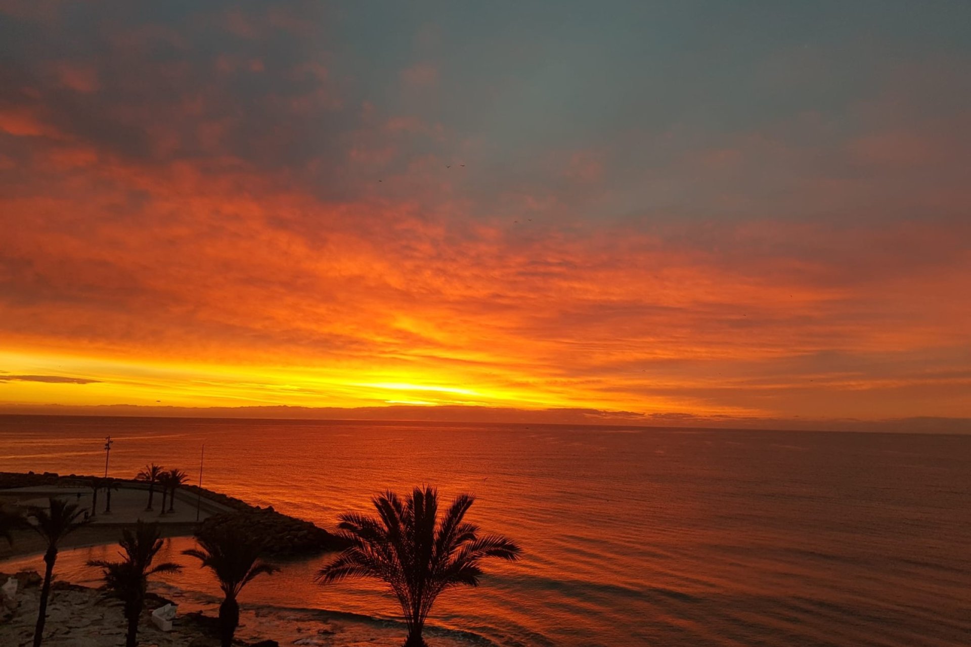 Rynek Wtórny - Apartament - Torrevieja - Playa del Cura