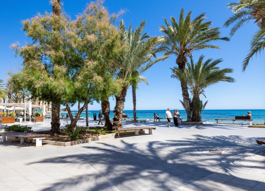 Rynek Wtórny - Apartament - Torrevieja - Playa del cura