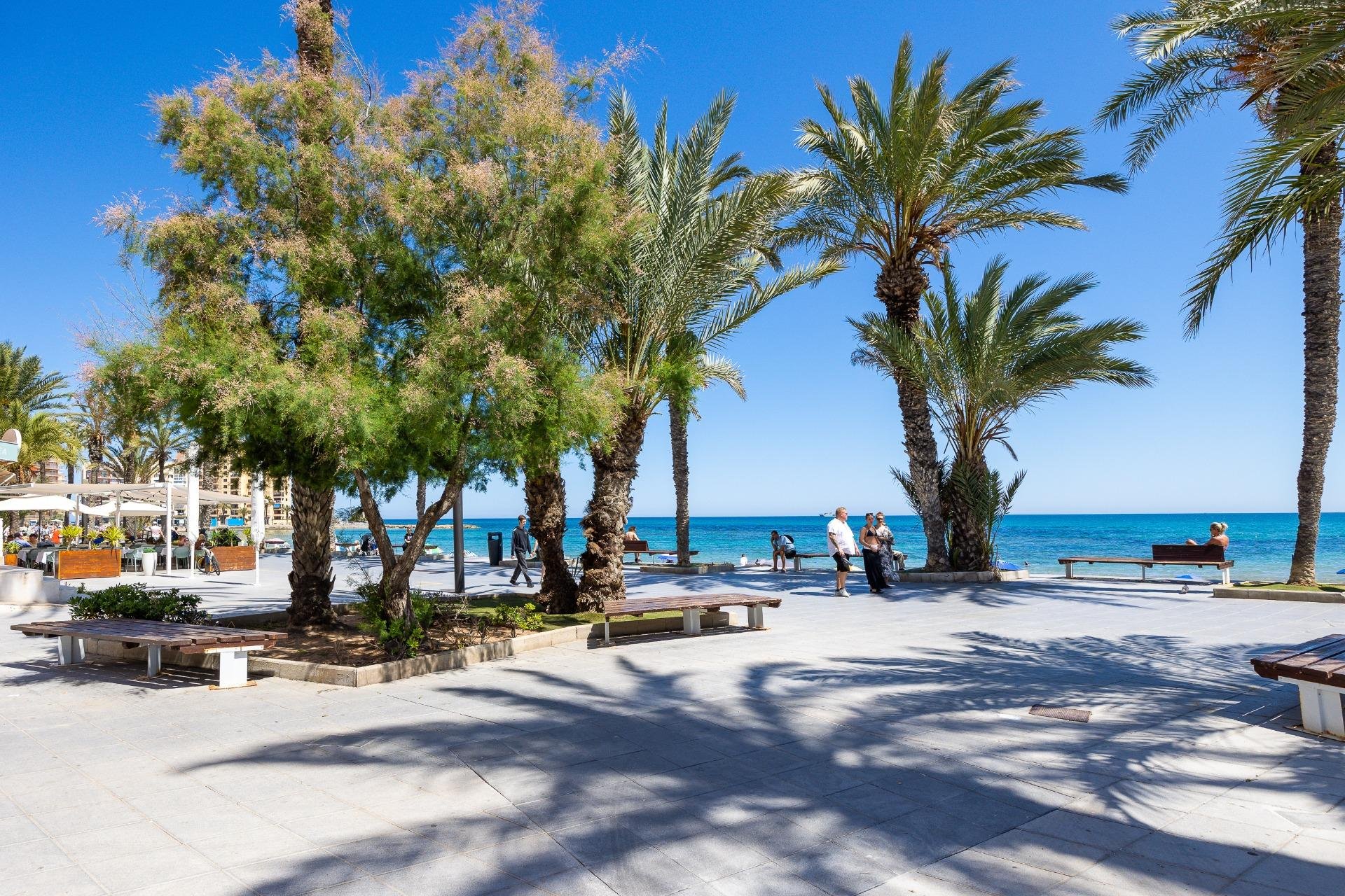 Rynek Wtórny - Apartament - Torrevieja - Playa del cura