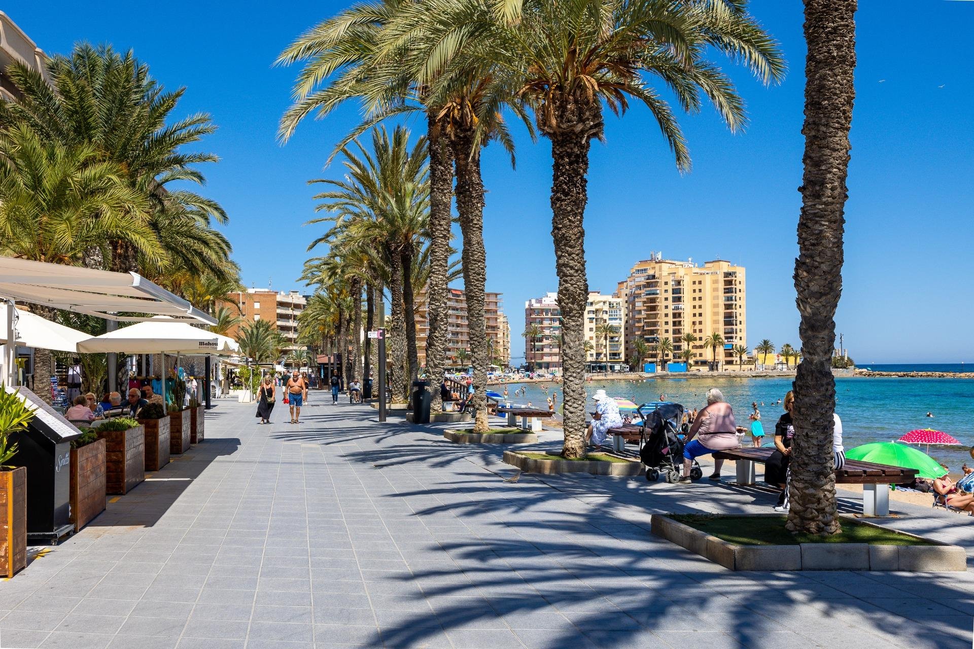 Rynek Wtórny - Apartament - Torrevieja - Playa del cura