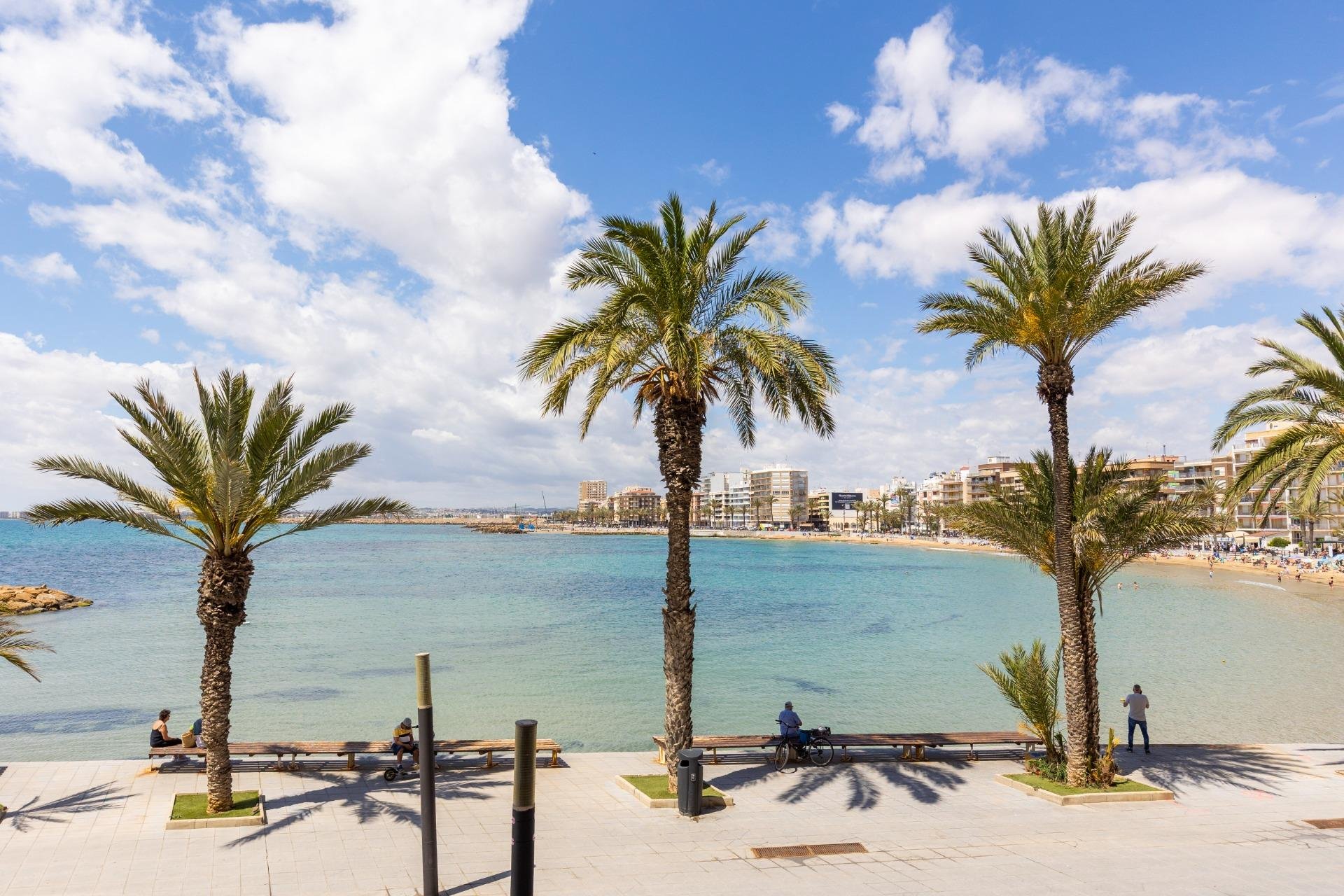 Rynek Wtórny - Apartament - Torrevieja - Playa del cura