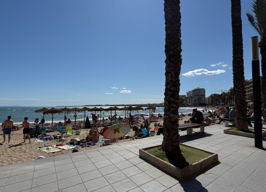 Rynek Wtórny - Apartament - Torrevieja - Playa del cura