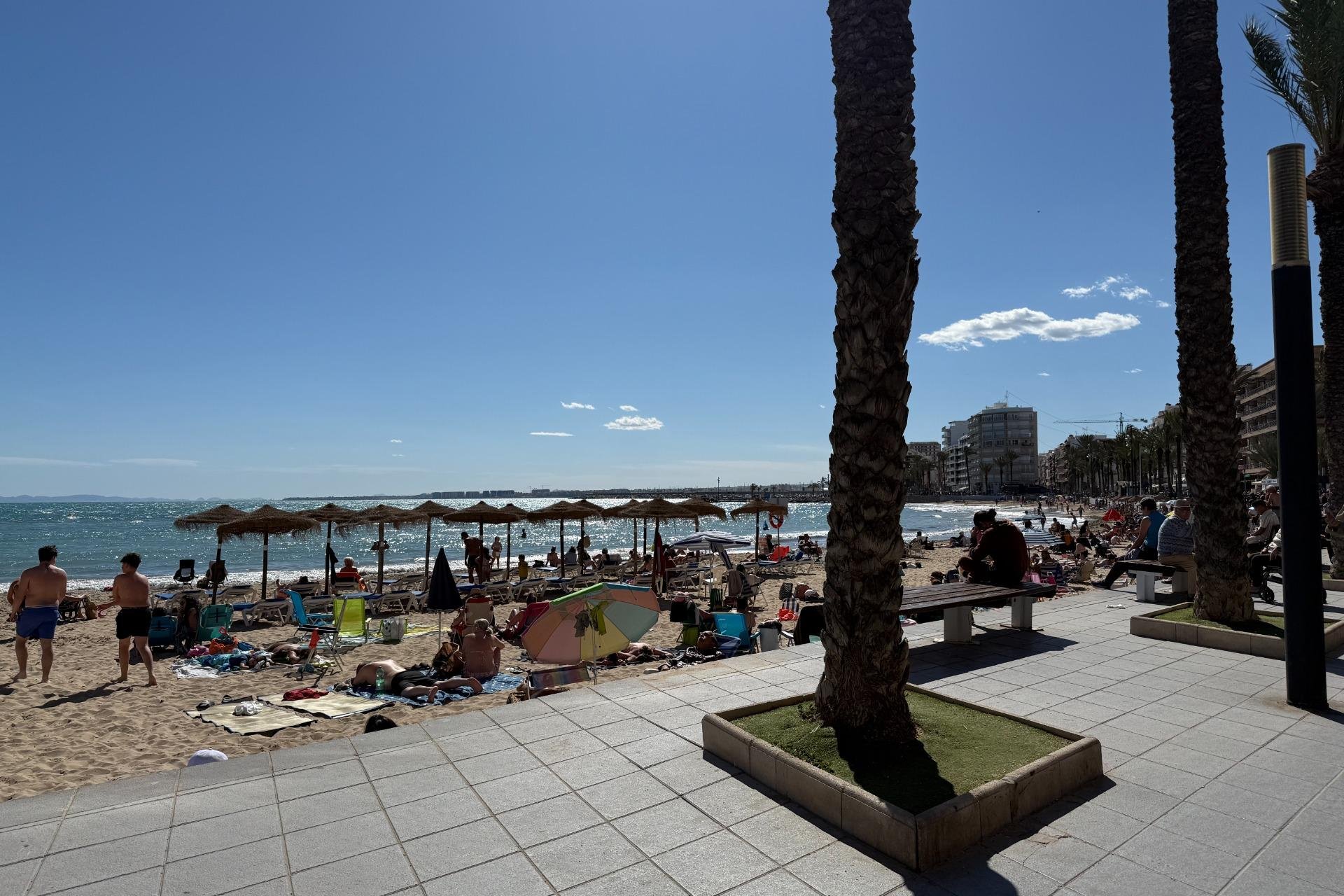 Rynek Wtórny - Apartament - Torrevieja - Playa del cura