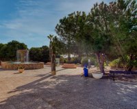 Rynek Wtórny - Apartament - Torrevieja - Playa del cura