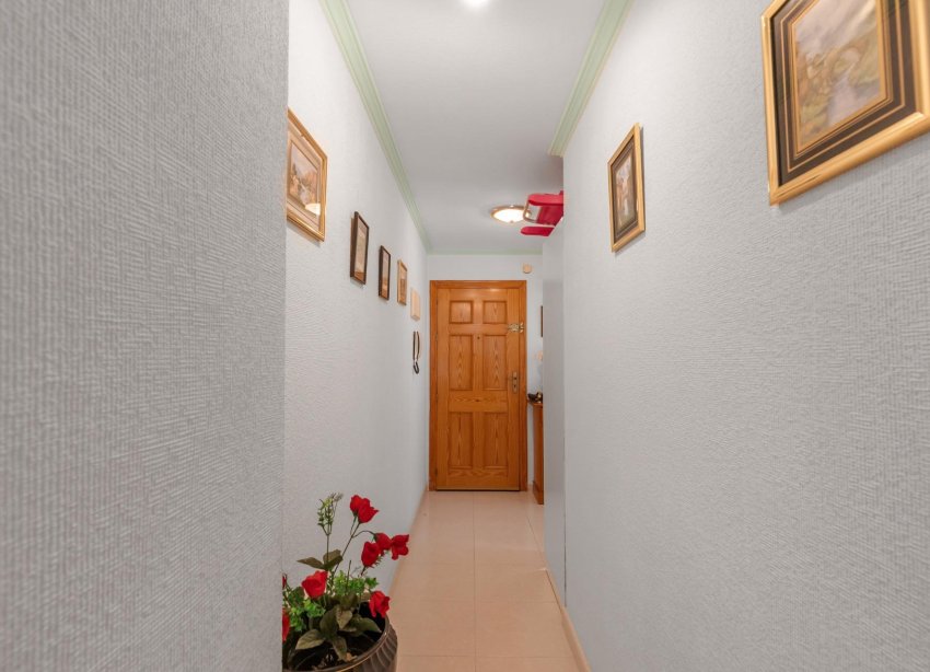 Rynek Wtórny - Apartament - Torrevieja - Playa del cura