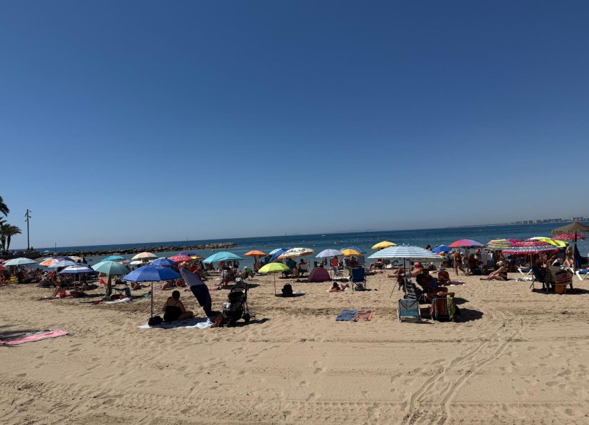 Rynek Wtórny - Apartament - Torrevieja - Playa del cura