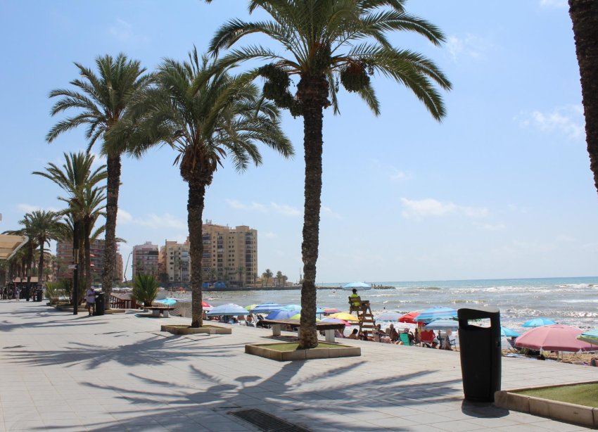 Rynek Wtórny - Apartament - Torrevieja - Playa del Cura