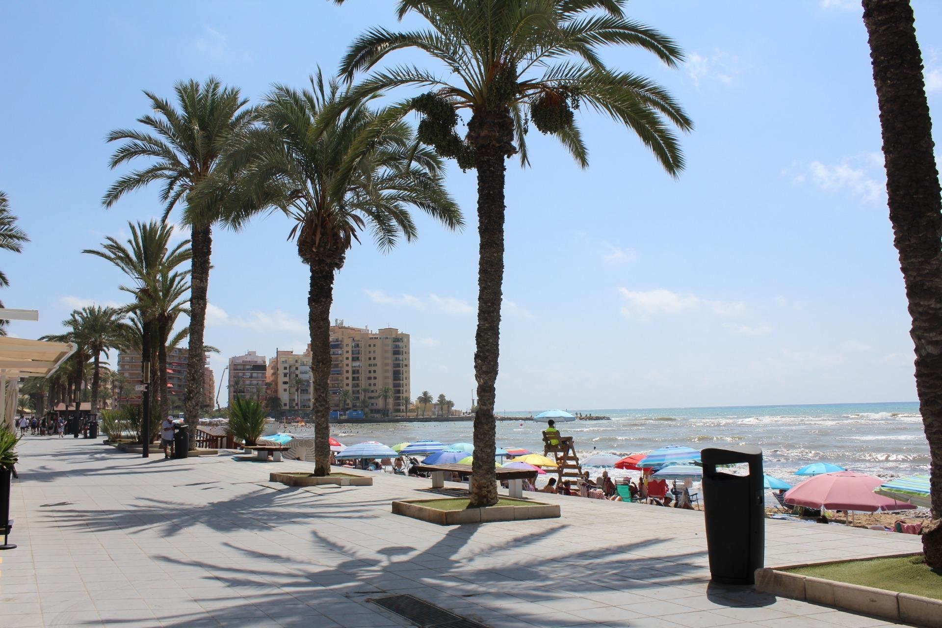 Rynek Wtórny - Apartament - Torrevieja - Playa del Cura