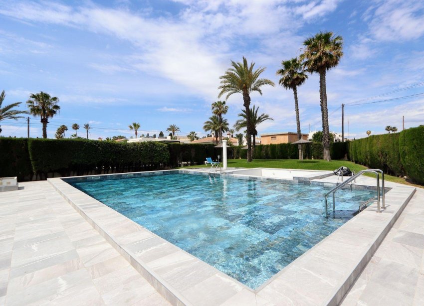 Rynek Wtórny - Apartament - Torrevieja - Playa Flamenca