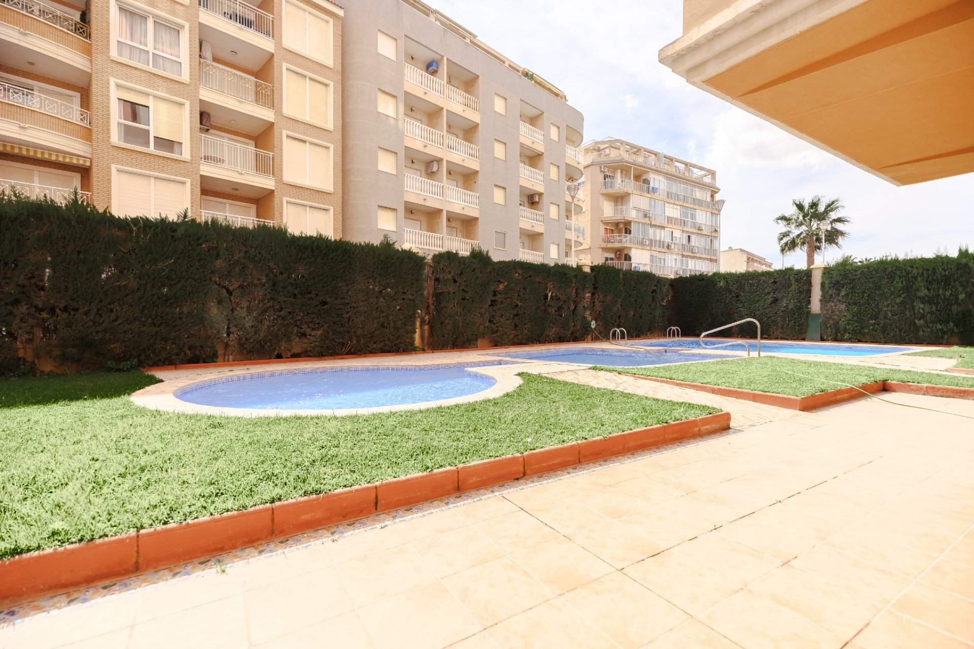 Rynek Wtórny - Apartament - Torrevieja - Playa Los Locos