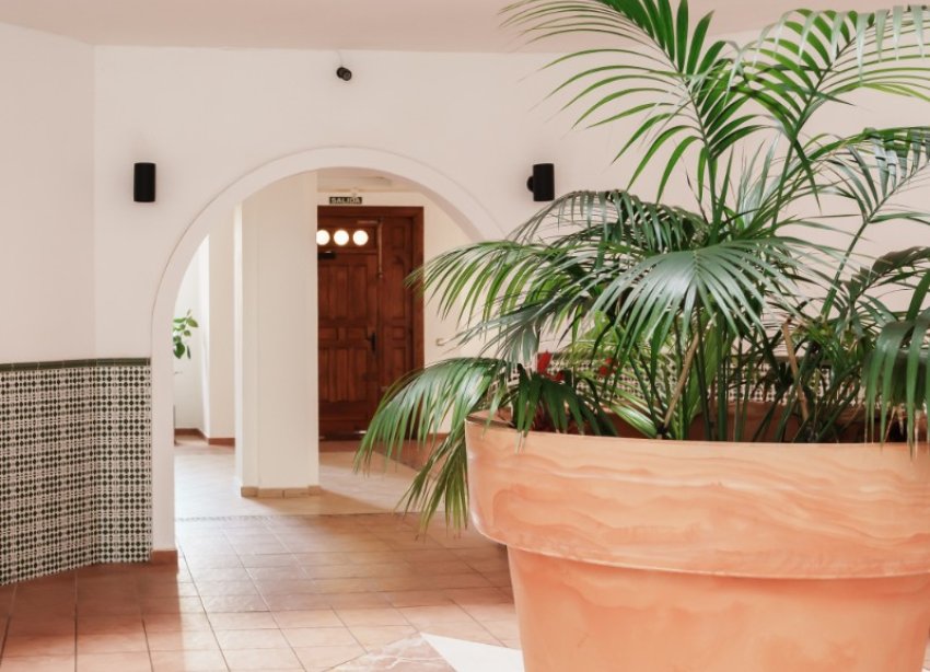 Rynek Wtórny - Apartament - Torrevieja - Playa Los Locos