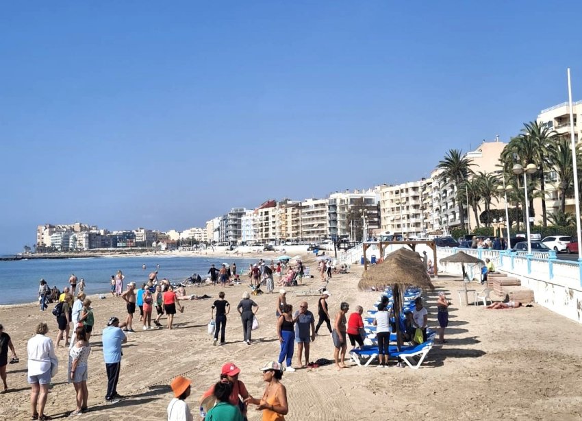 Rynek Wtórny - Apartament - Torrevieja - Playa Los Locos