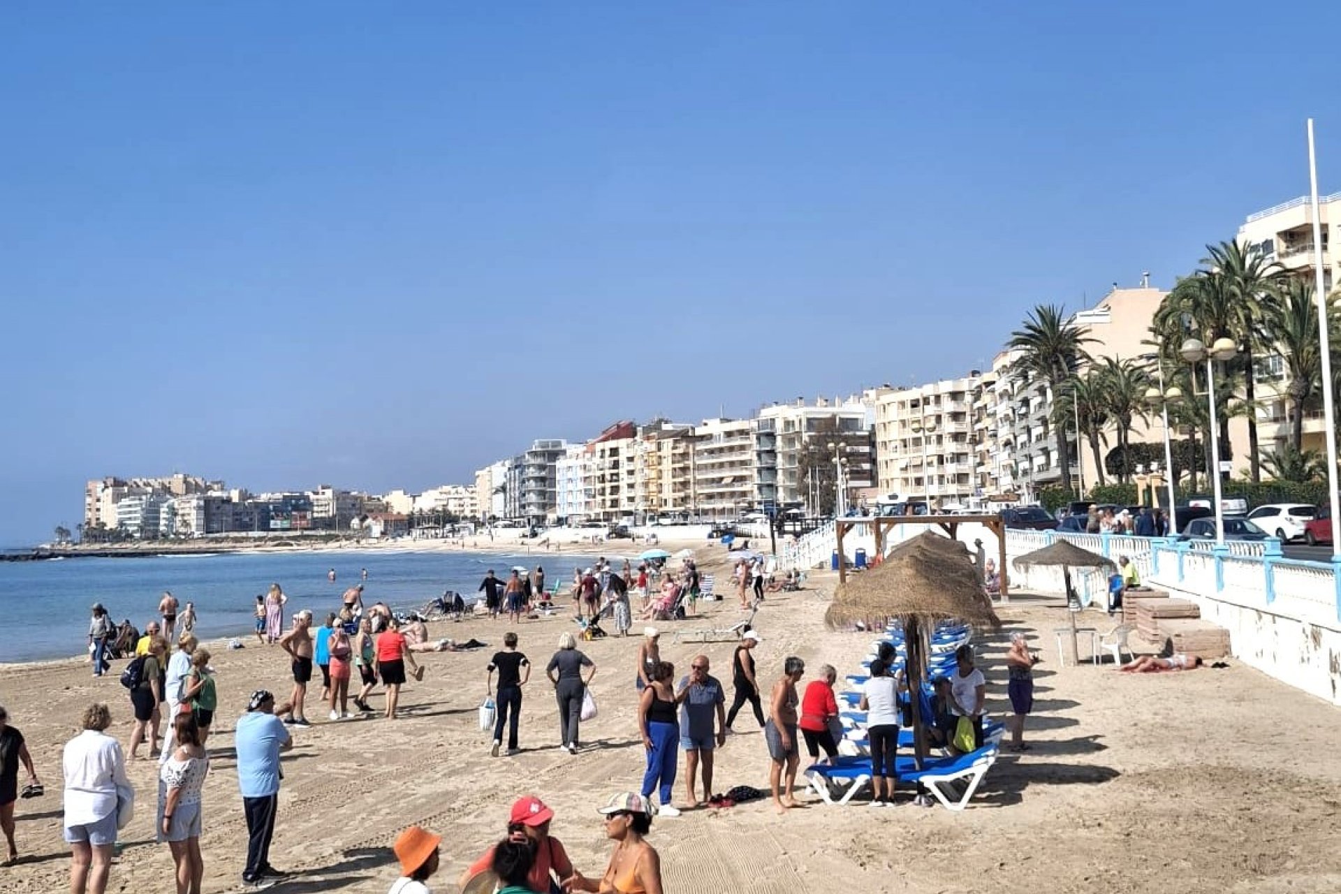 Rynek Wtórny - Apartament - Torrevieja - Playa Los Locos