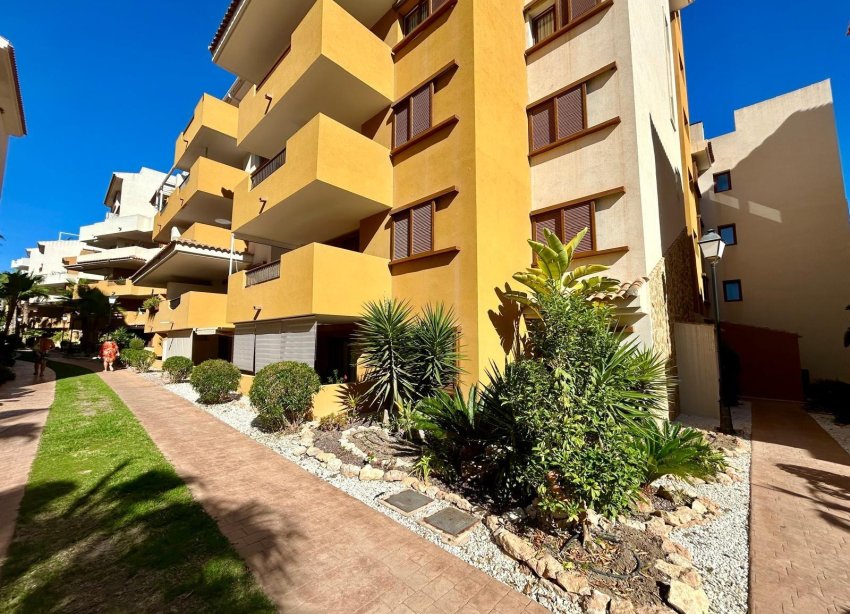 Rynek Wtórny - Apartament - Torrevieja - Punta prima