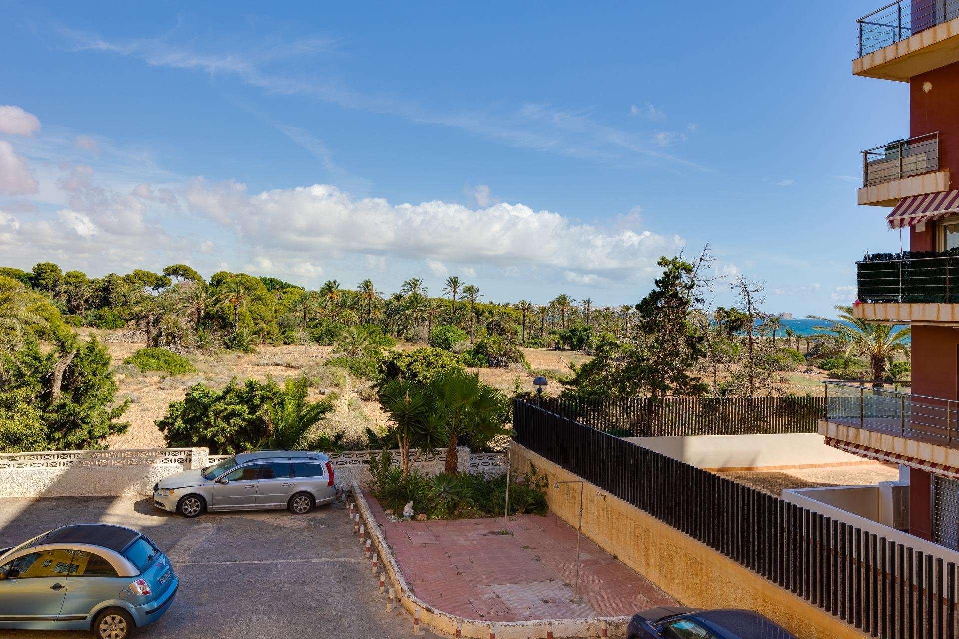 Rynek Wtórny - Apartament - Torrevieja - Punta prima