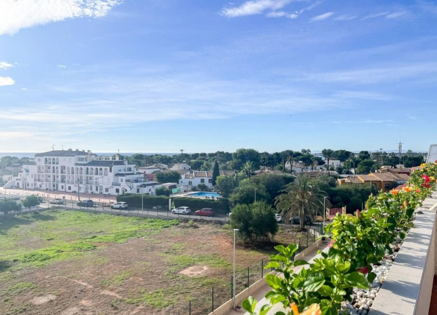 Rynek Wtórny - Apartament - Torrevieja - Punta Prima