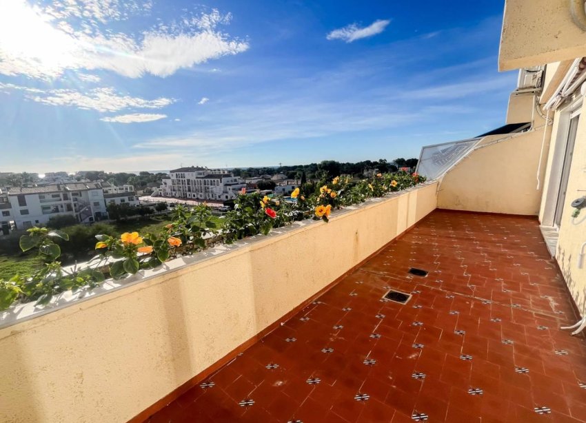 Rynek Wtórny - Apartament - Torrevieja - Punta Prima