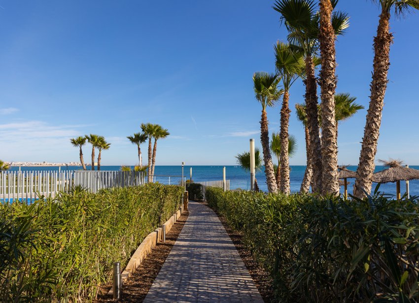 Rynek Wtórny - Apartament - Torrevieja - Punta Prima