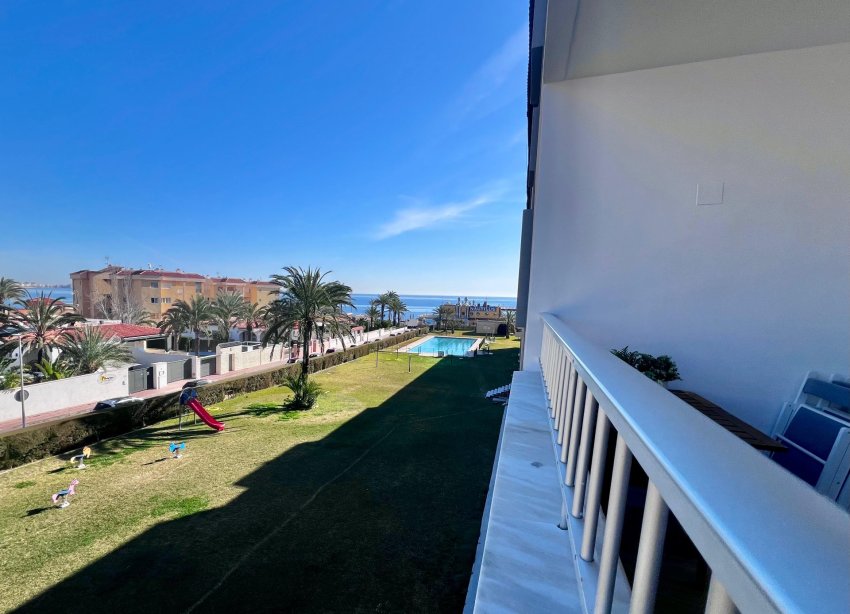 Rynek Wtórny - Apartament - Torrevieja - Punta prima
