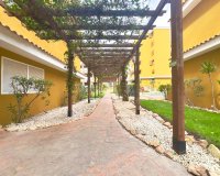 Rynek Wtórny - Apartament - Torrevieja - Punta Prima