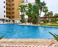 Rynek Wtórny - Apartament - Torrevieja - Punta Prima