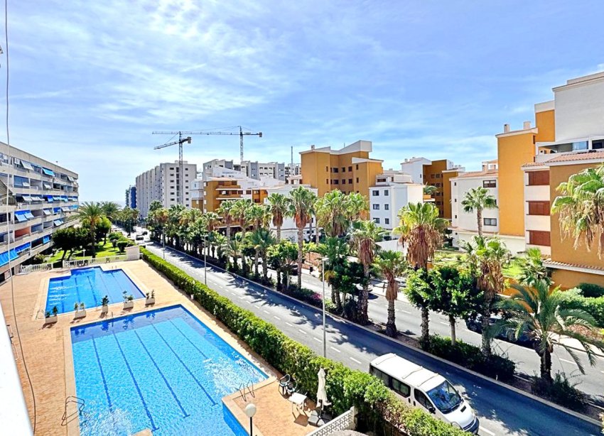 Rynek Wtórny - Apartament - Torrevieja - Rocio del Mar