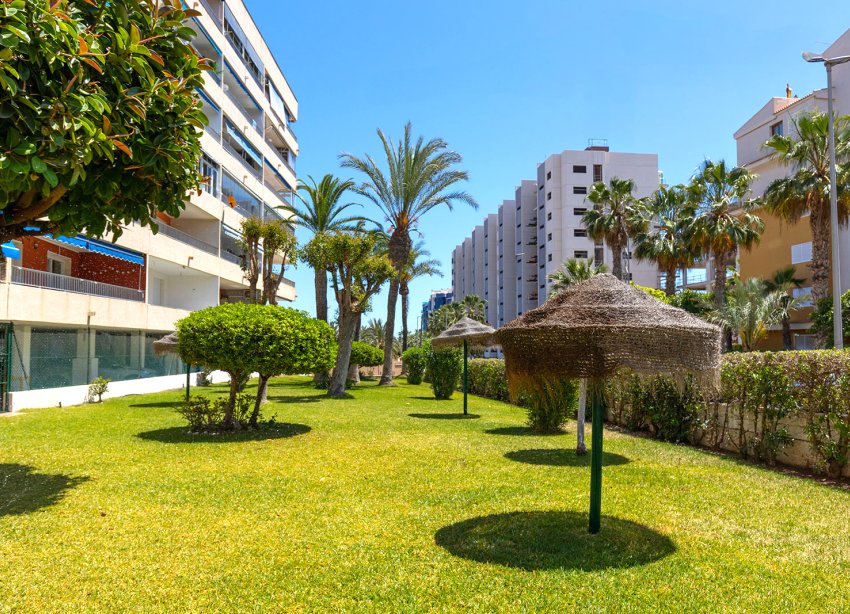 Rynek Wtórny - Apartament - Torrevieja - Rocio del Mar