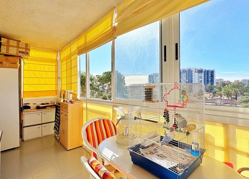 Rynek Wtórny - Apartament - Torrevieja - Rocio del Mar