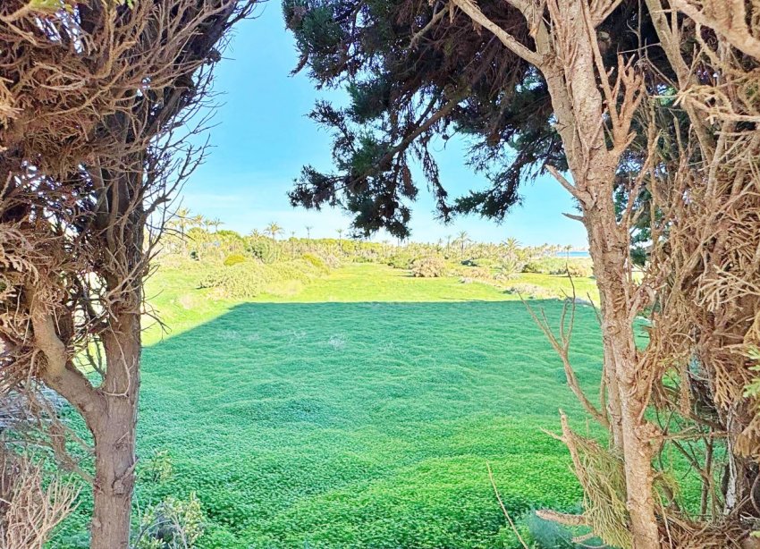 Rynek Wtórny - Apartament - Torrevieja - Rocio del Mar