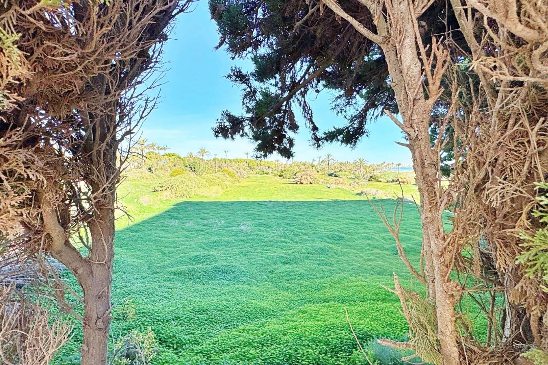 Rynek Wtórny - Apartament - Torrevieja - Rocio del Mar