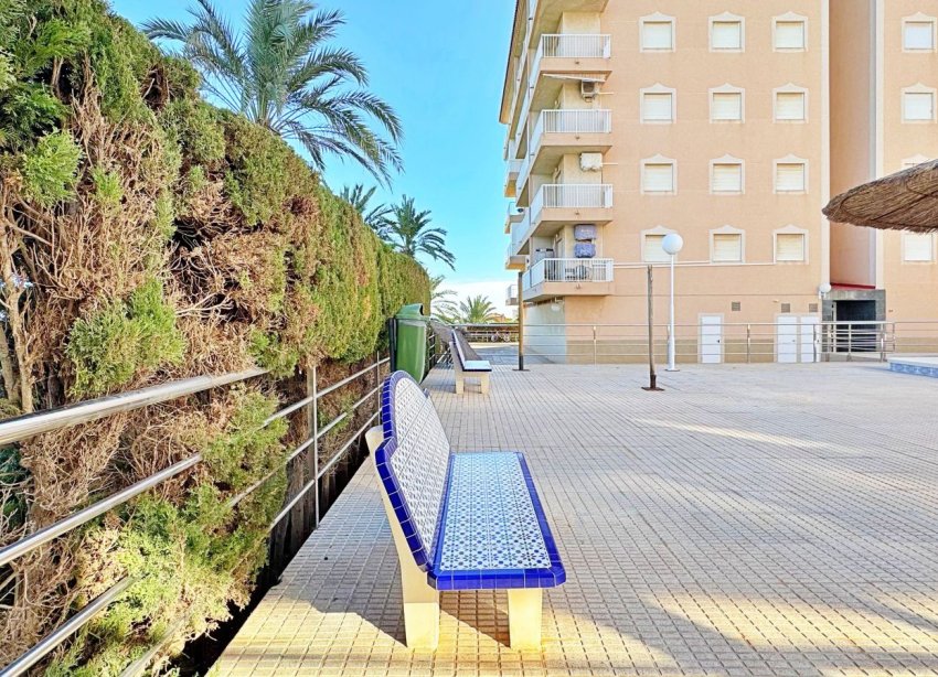 Rynek Wtórny - Apartament - Torrevieja - Rocio del Mar