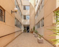 Rynek Wtórny - Apartament - Torrevieja - San luis