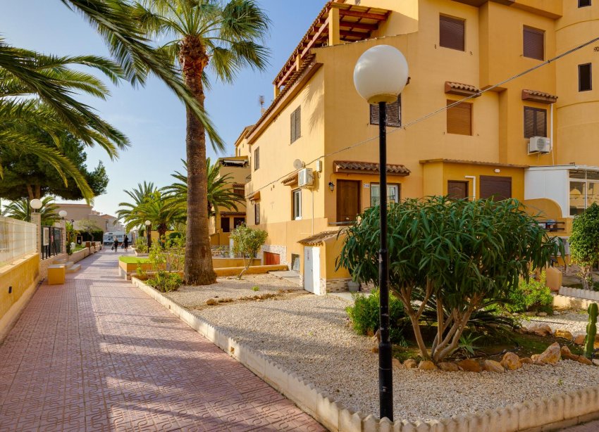 Rynek Wtórny - Apartament - Torrevieja - Torreblanca La Mata