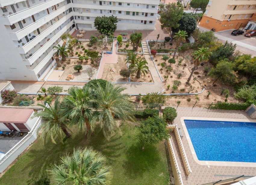 Rynek Wtórny - Apartament - Torrevieja - Torreblanca