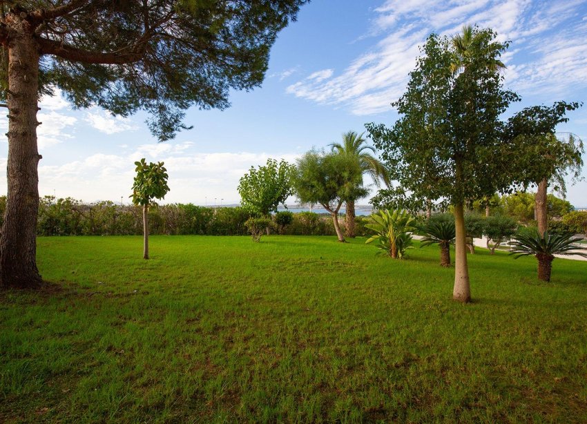 Rynek Wtórny - Apartament - Torrevieja - Torreblanca