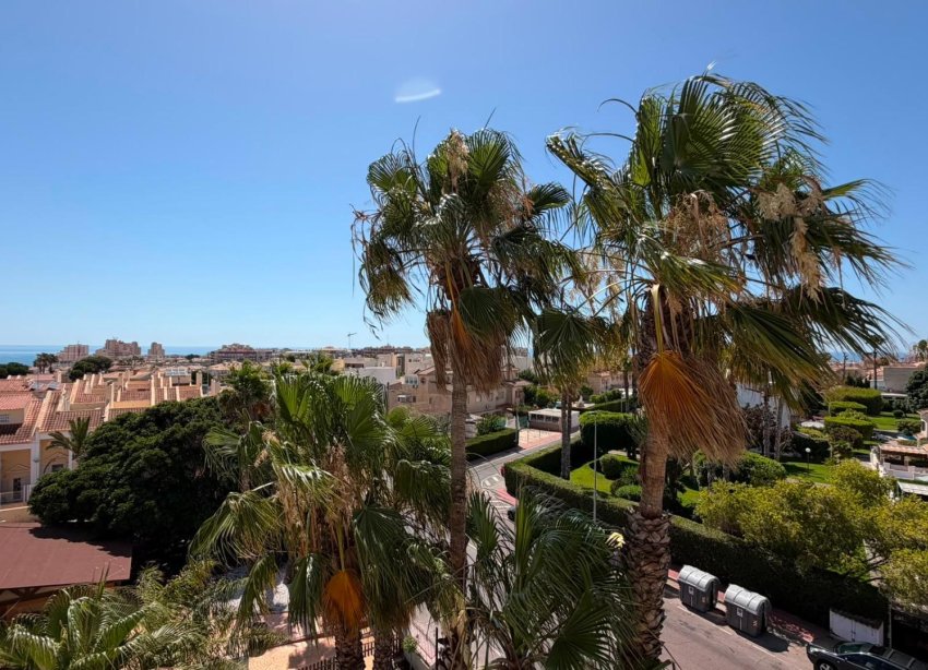 Rynek Wtórny - Apartament - Torrevieja - Torreblanca