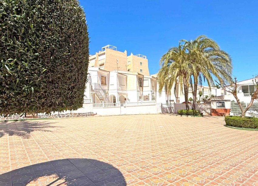 Rynek Wtórny - Apartament - Torrevieja - Torrelamata - La Mata