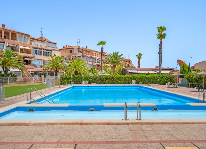 Rynek Wtórny - Apartament - Torrevieja - Torrevieja - Aguas Nuevas