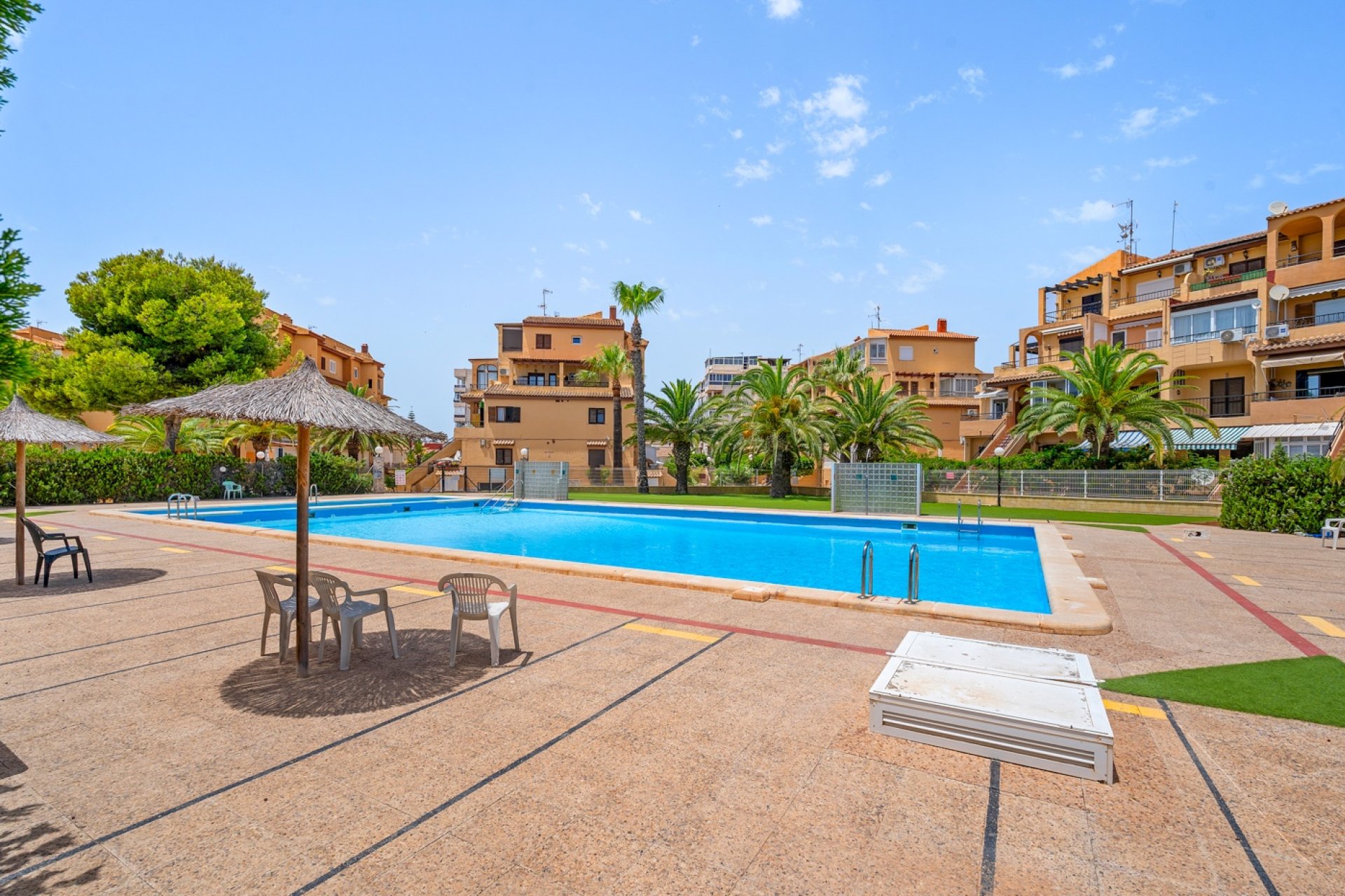 Rynek Wtórny - Apartament - Torrevieja - Torrevieja - Aguas Nuevas