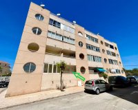 Rynek Wtórny - Apartament - Torrevieja - Urbanización San Luis