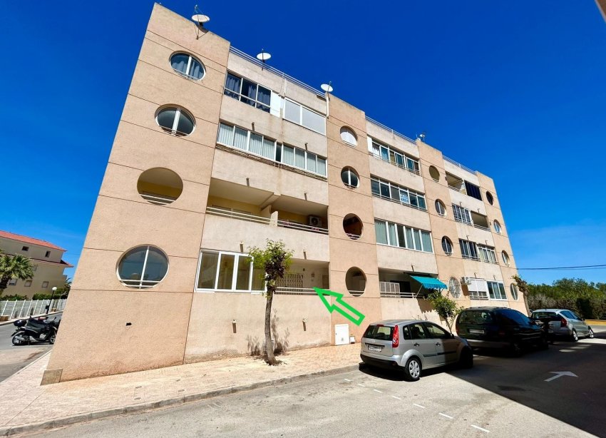 Rynek Wtórny - Apartament - Torrevieja - Urbanización San Luis