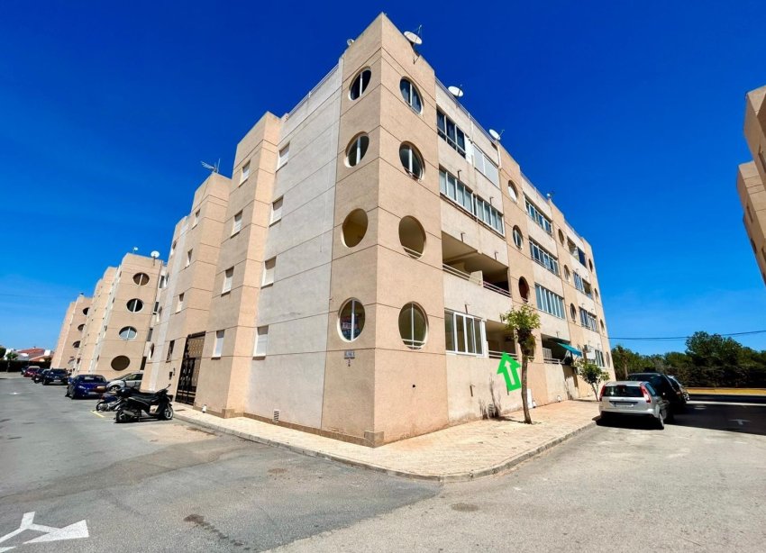 Rynek Wtórny - Apartament - Torrevieja - Urbanización San Luis
