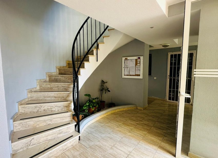 Rynek Wtórny - Apartament - Torrevieja - Urbanización San Luis