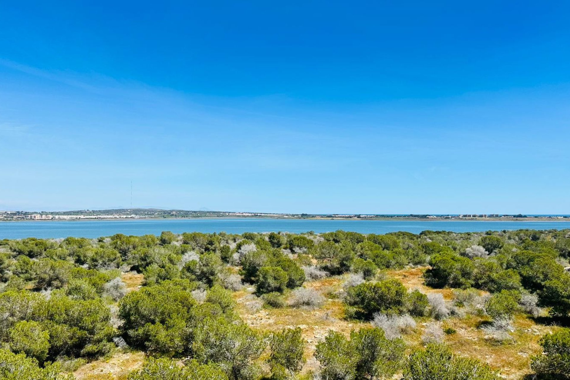 Rynek Wtórny - Apartament - Torrevieja - Urbanización San Luis