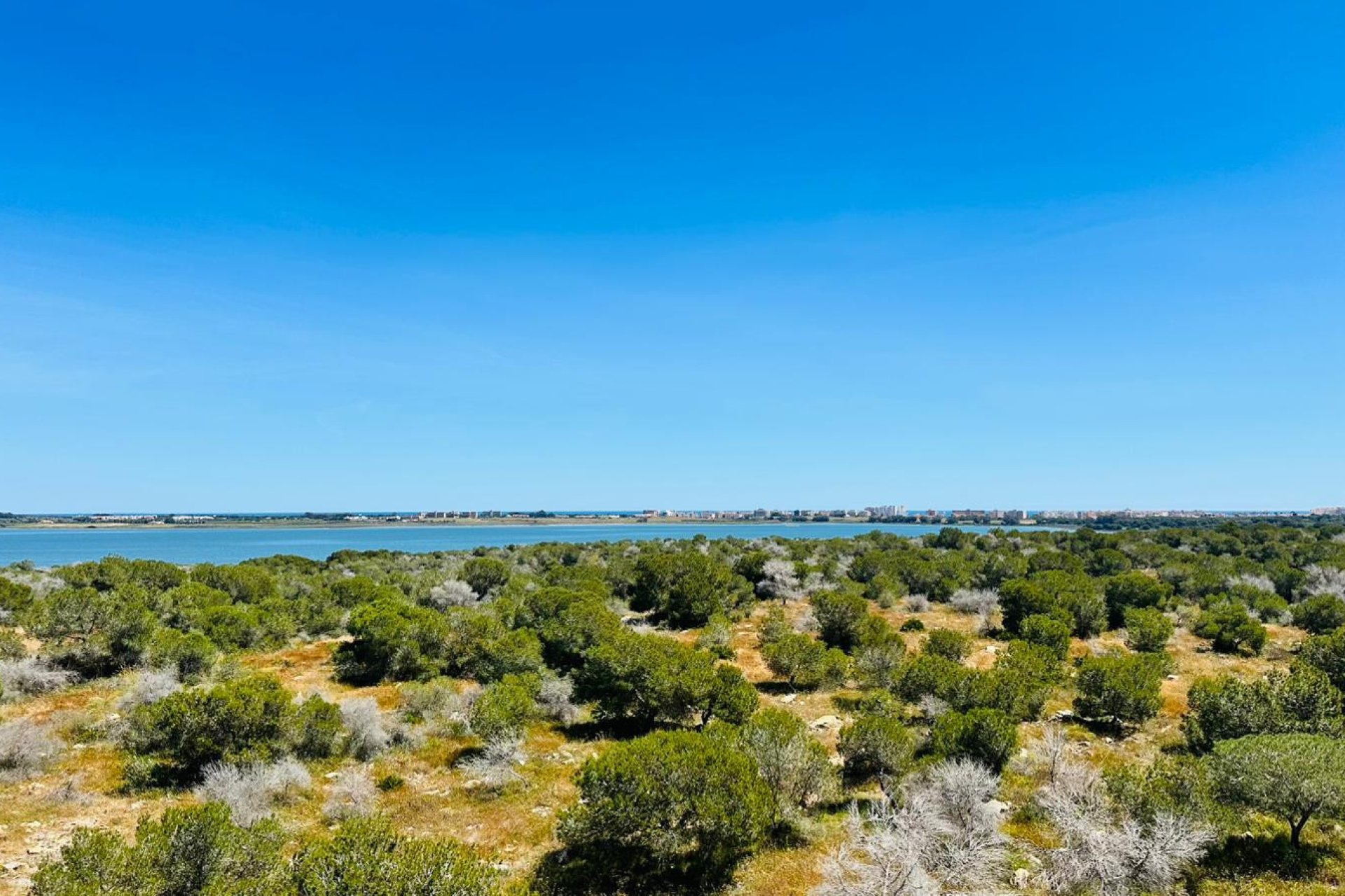 Rynek Wtórny - Apartament - Torrevieja - Urbanización San Luis