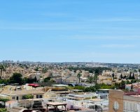 Rynek Wtórny - Apartament - Torrevieja - Urbanización San Luis