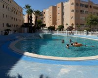 Rynek Wtórny - Apartament - Torrevieja - Urbanización San Luis